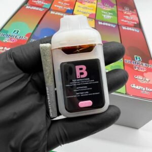 Blinker 2g FLIP disposable